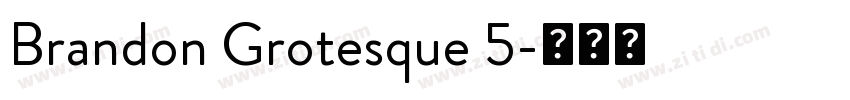 Brandon Grotesque 5字体转换
